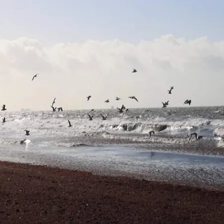 8 Person In Dannemare-by Traum Casa de Férias
