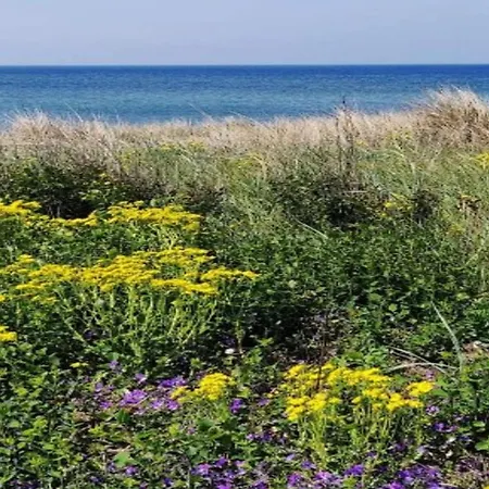 Casa de Férias 8 Person In Dannemare-by Traum *