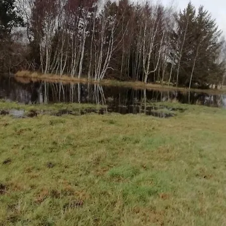 8 Person In Dannemare-by Traum * Dannemare