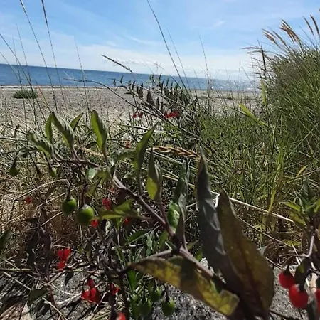 Casa de Férias 8 Person In Dannemare-by Traum