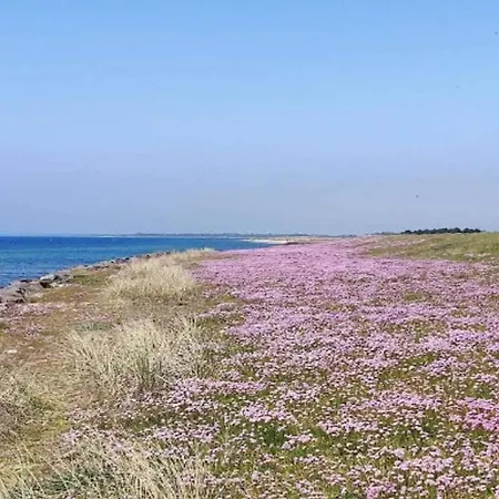 Casa de Férias 8 Person In Dannemare-by Traum Dannemare